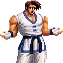 KimShrug