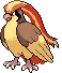 pidgeot