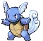 wartortle