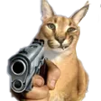 floppaGun floppaGun