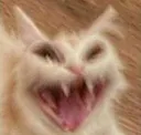 UWJFKDKNAKAKS