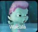 wacala