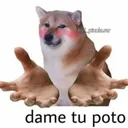dametupoto