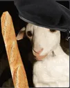 lachevre