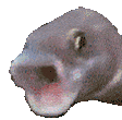 Pogfishpog Discord Emoji