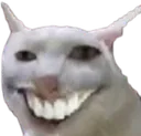 CursedCat