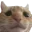 swagsad