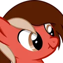 poppyscrunch poppyscrunch