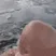 zzz_whitey
