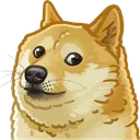 doge_bruh