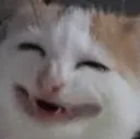 emoji_125