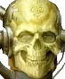 SkullyBones SkullyBones