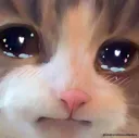 cry Discord Emoji