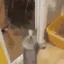 mellcat