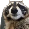 racon racon
