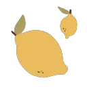 y_lemon01