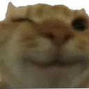 a_wink