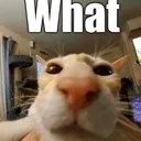 a_what