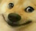 smile_dog Discord emoji