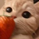 Nyam nyam Discord Emoji