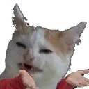 Catwtf catwtf Discord Emoji