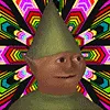 gnometrip