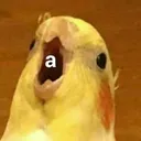a_