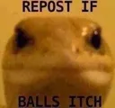 Balls_Itch