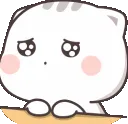 kittyplease kittyplease