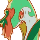 serpsweat serpsweat