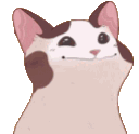 catpopcute Discord emoji