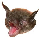 batpog batpog