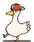 birb