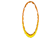 DR_portalorangeparrot