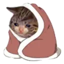 SadCat Discord Emoji