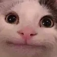 CatHm