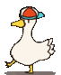 kaczka
