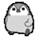 pinguin_run pinguin_run