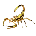 escorpion