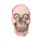 skullstupid skullstupid