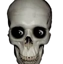 skullscary skullscary
