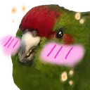 menace menace
