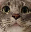 boop