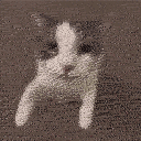 cattokisskiss Discord Emoji