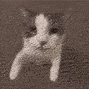 cattokisskiss cattokisskiss