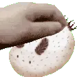 seabunnipat