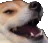 fp_lol