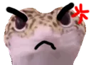 lizardangy