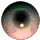 eyeball
