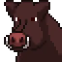 Boar